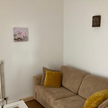 Appart Aux Deux Colombes Avec Balcon Et Garage Pamiers Ngoại thất bức ảnh